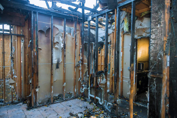 Professional Fire Damage Removal technician working in Oviedo, FL