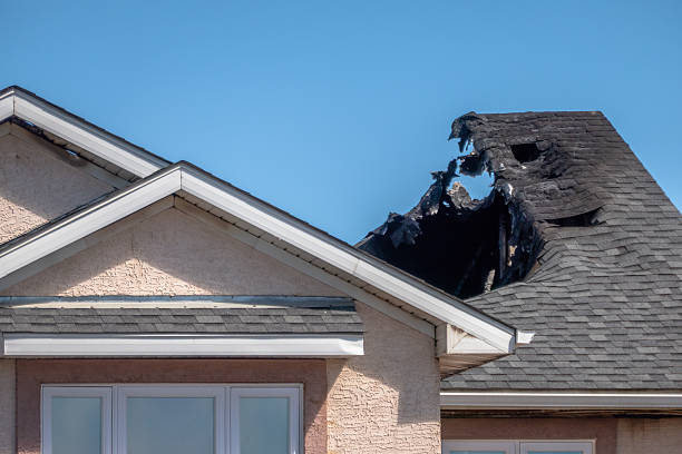 Top rated local Fire Damage Removal specialists in Oviedo, FL